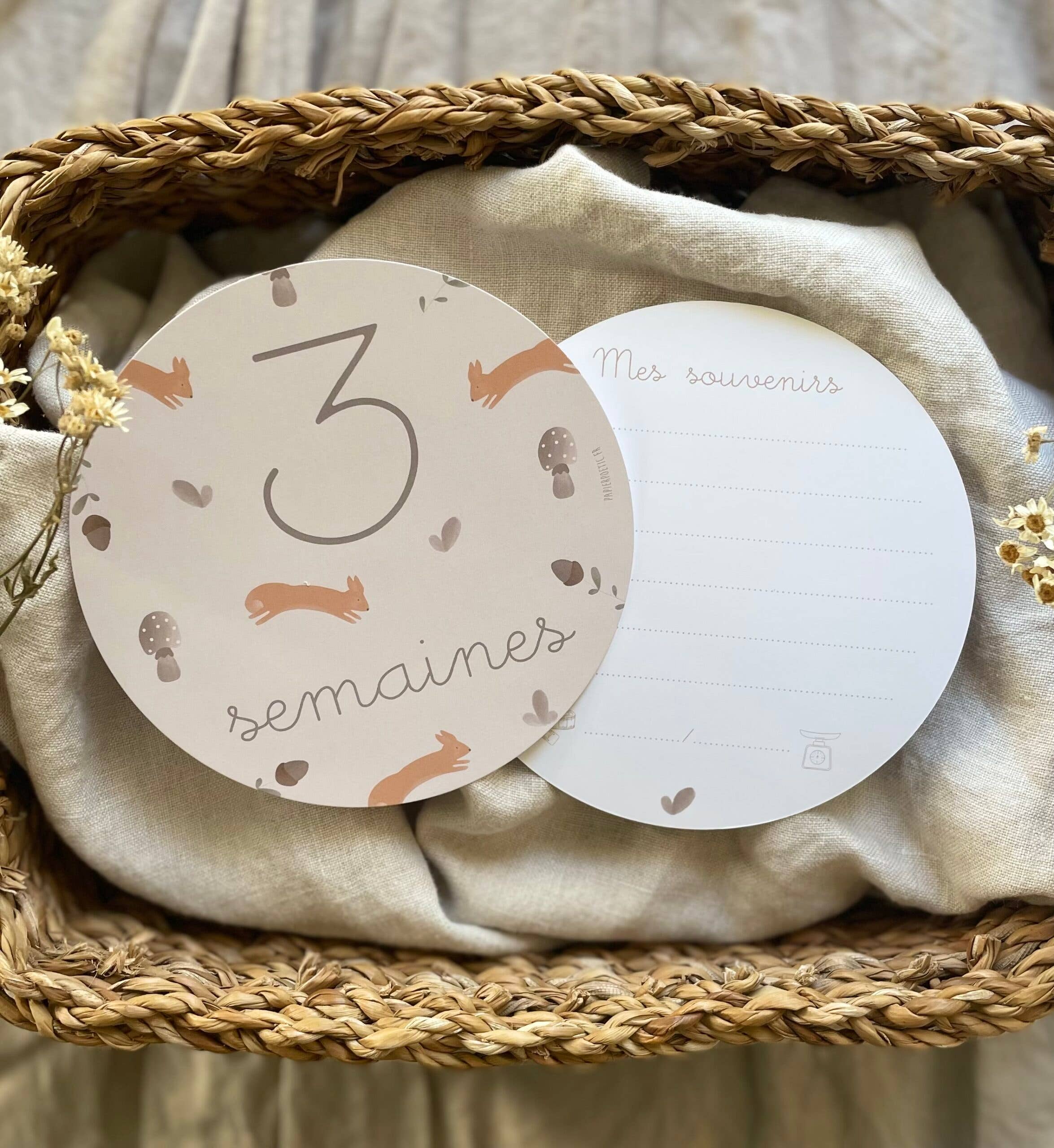 Cartes étapes “Ma première année”