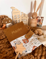 Protège Carnet de Santé / Albert - Velours Havane