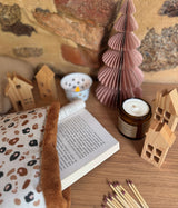 Pochette Livre / Felyna