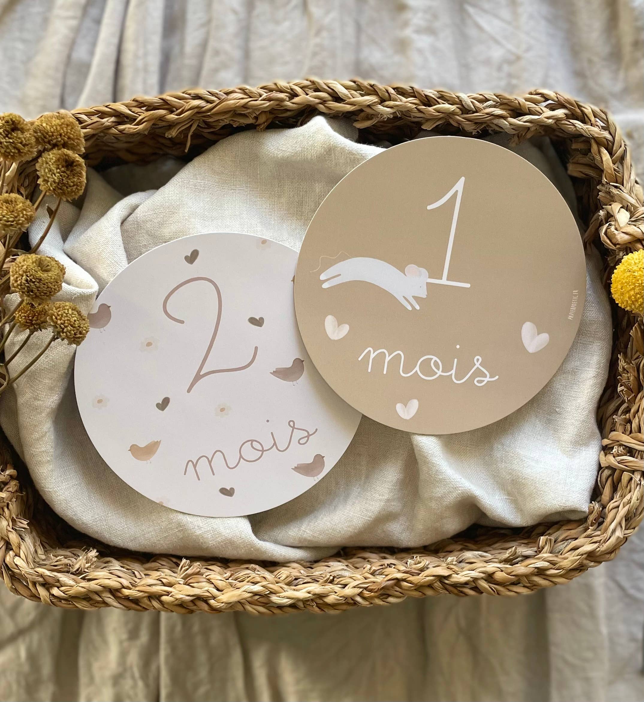 Cartes étapes “Ma première année”