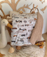 Couverture Bébé / Roadtrip