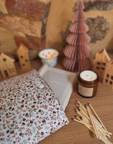 Pochette Livre / Eleoni